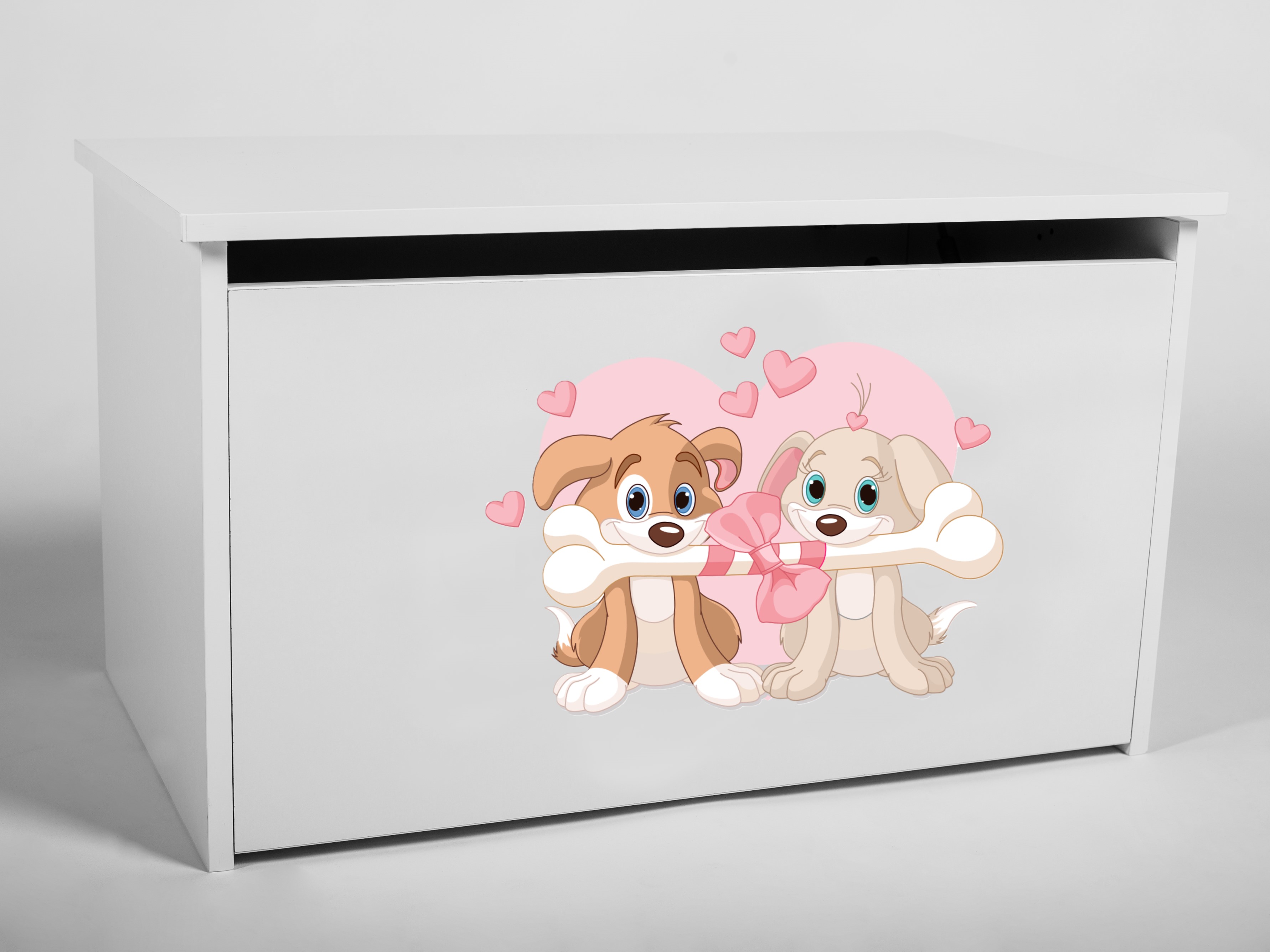 Levně ADRK Úložný box DARIA DOG, bílá