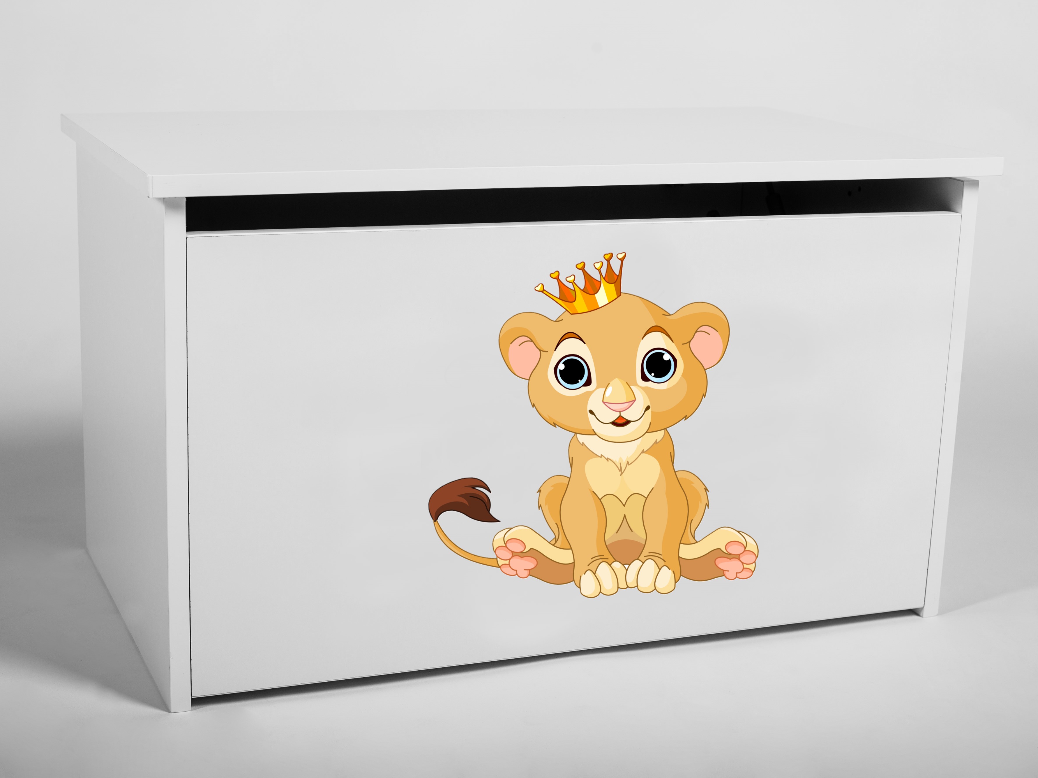 Levně ADRK Úložný box DARIA LIO, bílá