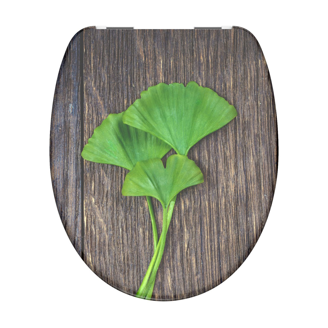 Levně Eisl Sanitär WC prkénko Duroplast Soft Close Ginko and Wood 82154