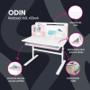 infografika Odin ruzova cz