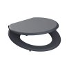 WC prkénko MDF Soft Close Anthrazit 80104