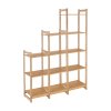 imperor typ 3 regal bambus seria