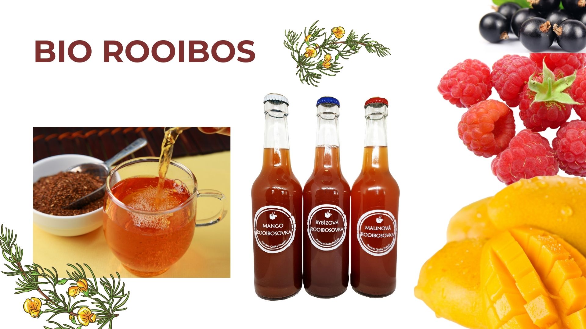 ROOIBOS