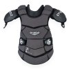 317.02262.010 F1 body protector front