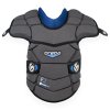 317.02264.010 F2 body protector front