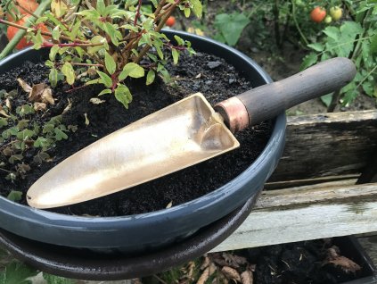 722B8763 4AEE 4CA8 ABA6 558A965E5DEC