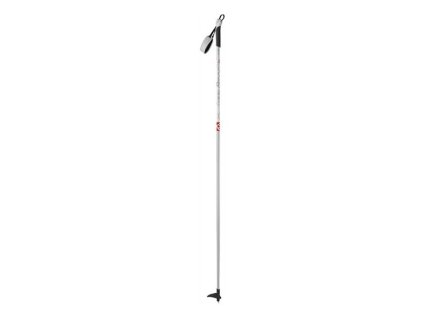 hole Salomon Siam 160cm
