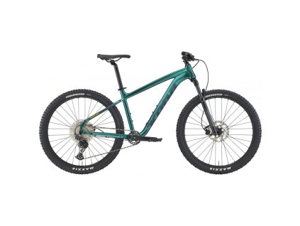 Kona Cinder Cone 2022