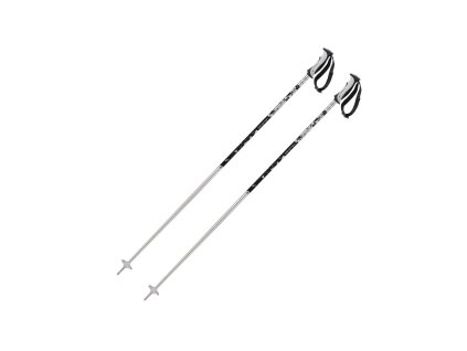 Hole Salomon Arctic Lady black/silver 115cm
