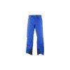 Salomon lyžařské kalhoty Icemania pant regular surf the web modrá