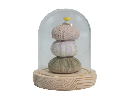 Svítící Květinová Zahrádka v Kopuli - 3 Mořští Ježci - LED, USB