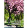 240931 2 drevena zahradni lavicka seda 150 cm fabla