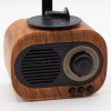 Mini Reproduktor - Retro Gramofon - Bluetooth & FM Rádio