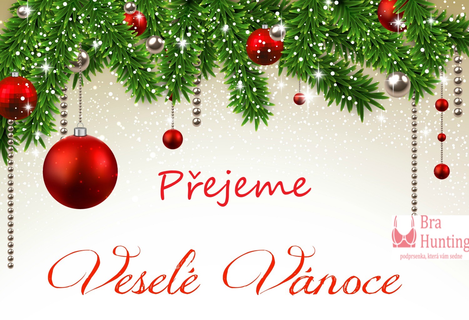 Krásné vánoce a šťastný nový rok