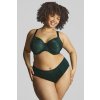 AW24 F Sculptresse Illuminate Moulded FullCup 10701 DeepBrief 10705 Dark Green T F 6102