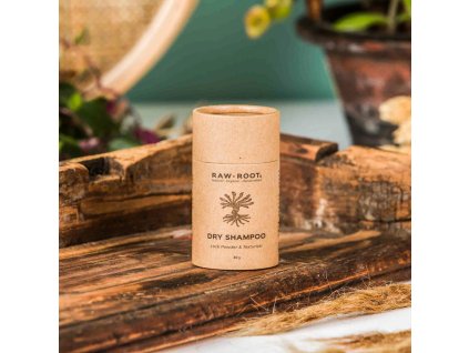 DryShampoo LockPowder 2