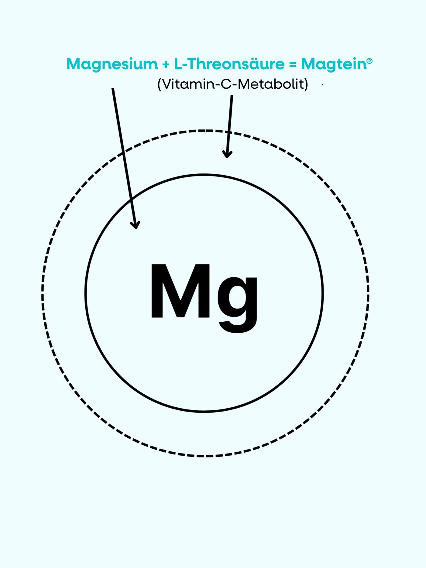 magteininfo