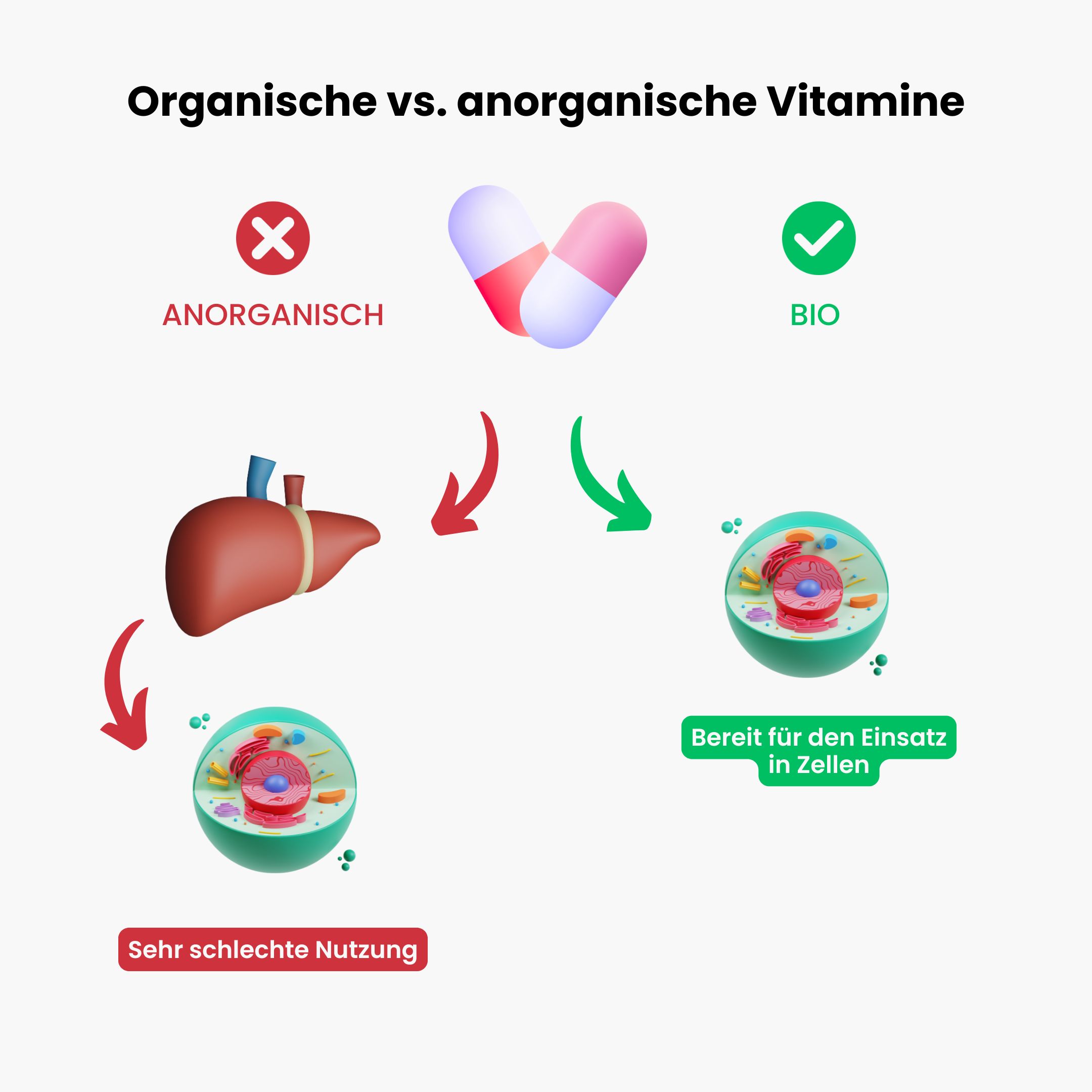 Prenatal organicke vitaminy