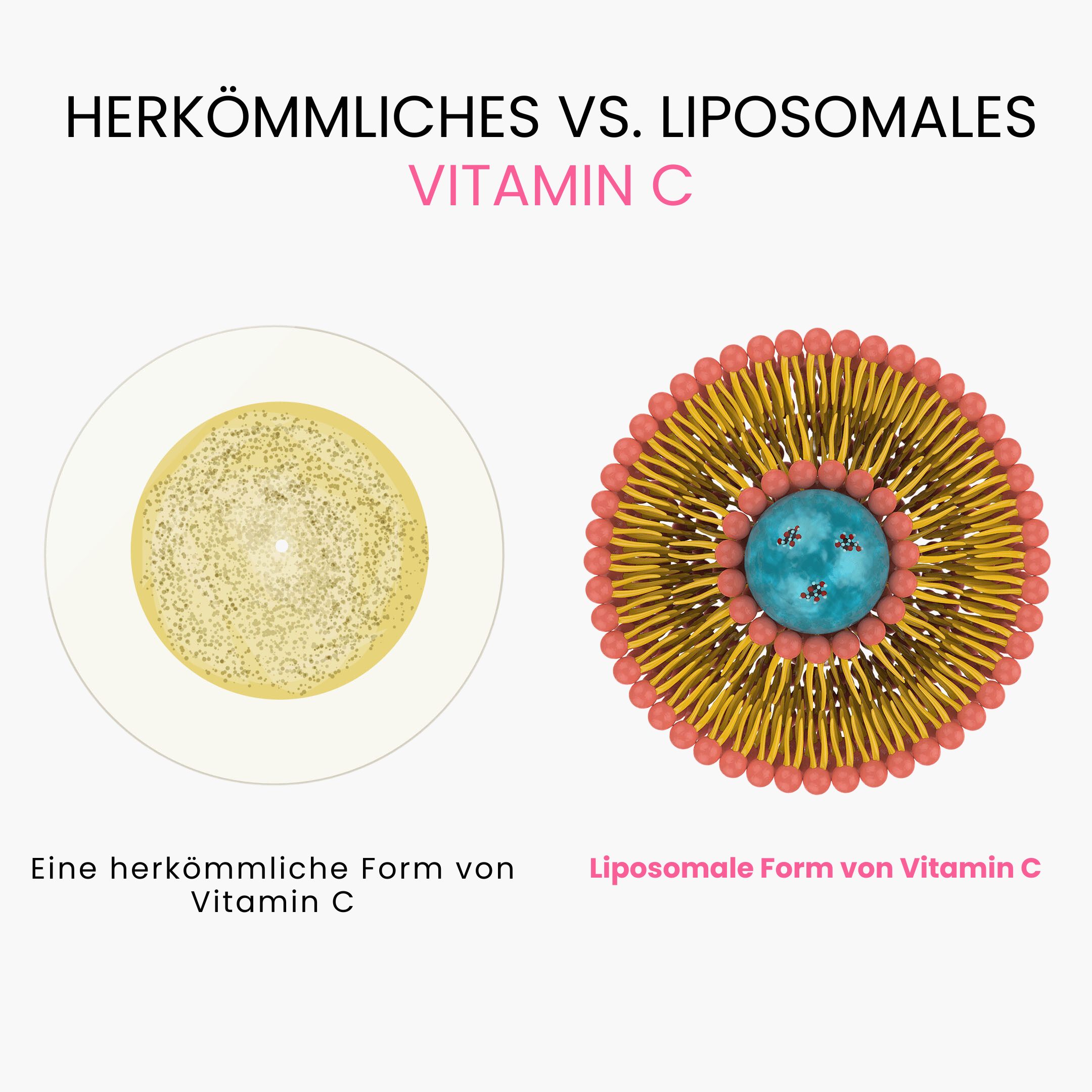 bezny vs lipo