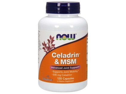NOW Celadrin und MSM 500 mg, 120 Kapseln  Nahrungsergänzungsmittel