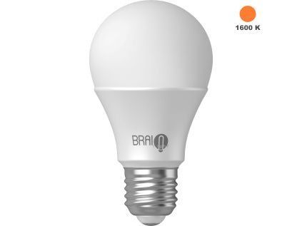 brainlight amber bulb