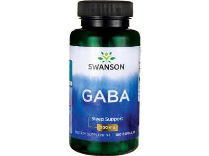 GABA 3