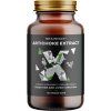 artichoce extrakt