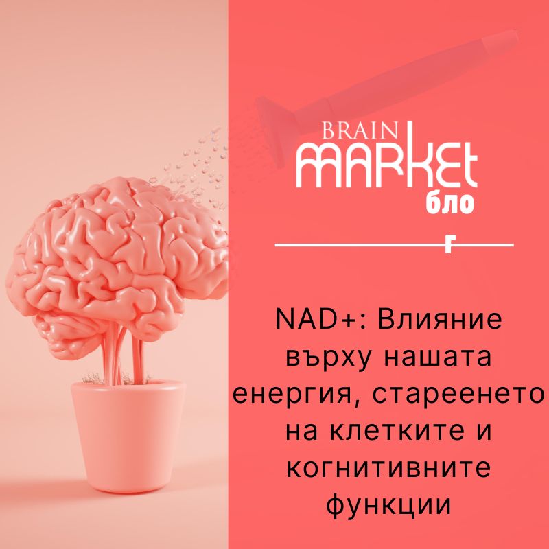 NAD и неговото положително въздействие върху нашето тяло