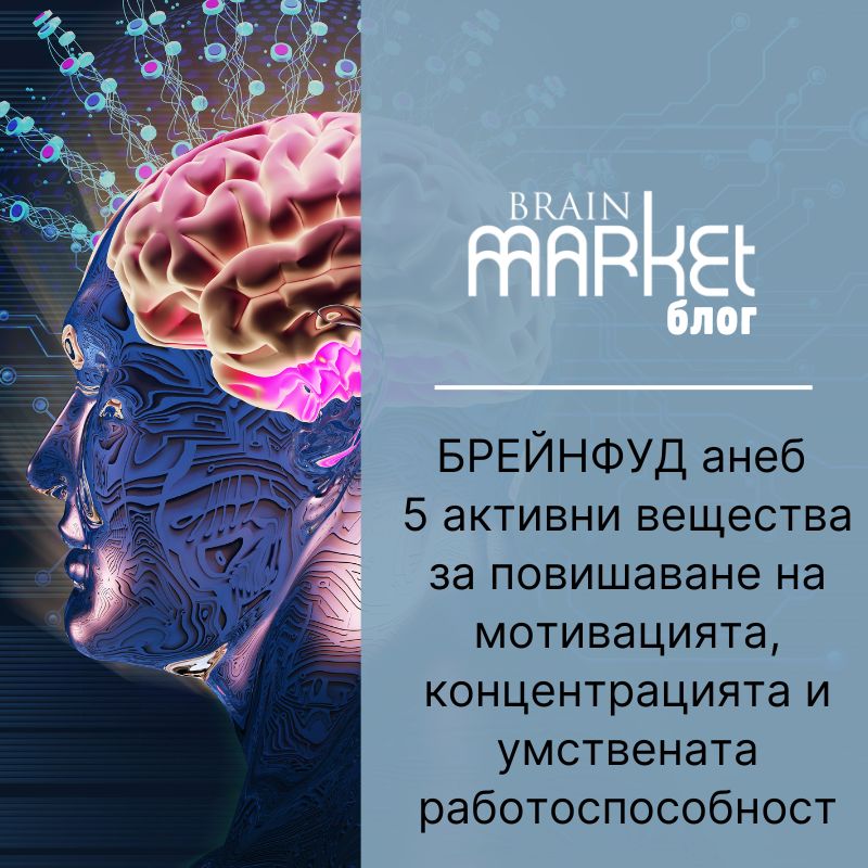 BRAINFOOD или 5 ефективни съставки за повишаване на мотивацията, концентрацията и умствената дейност