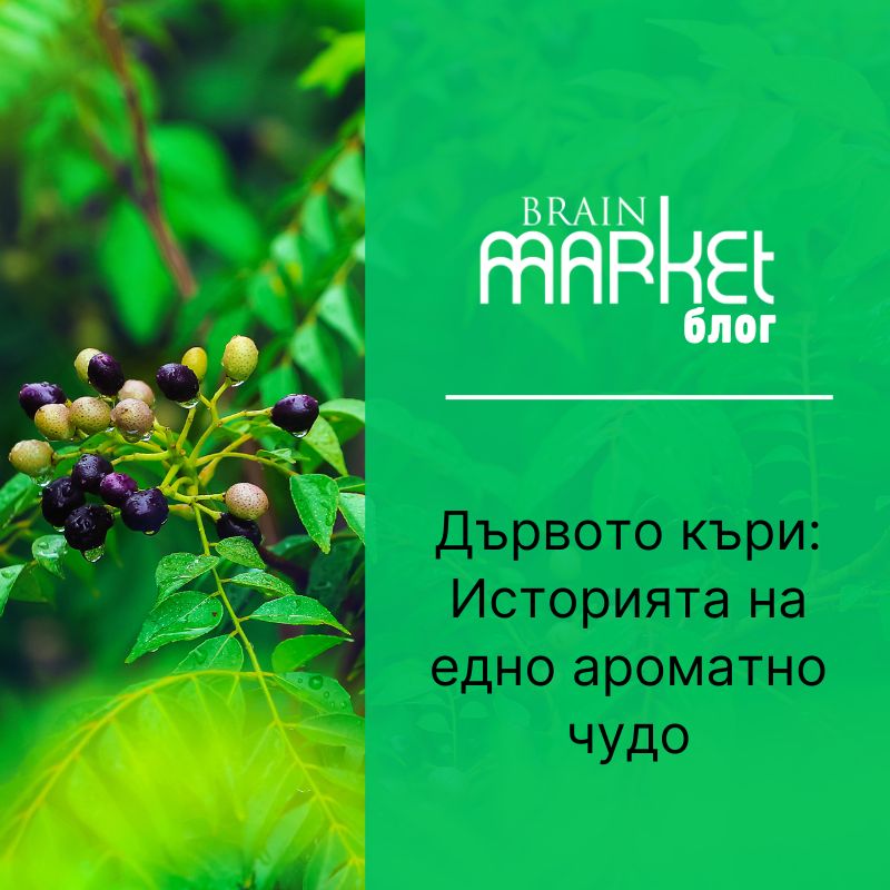 Кари стром: История на ароматното чудо