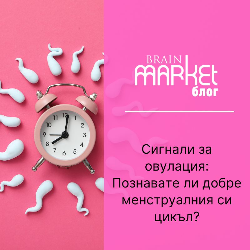 Сигнали на овулация: Познавате ли добре своя менструален цикъл?