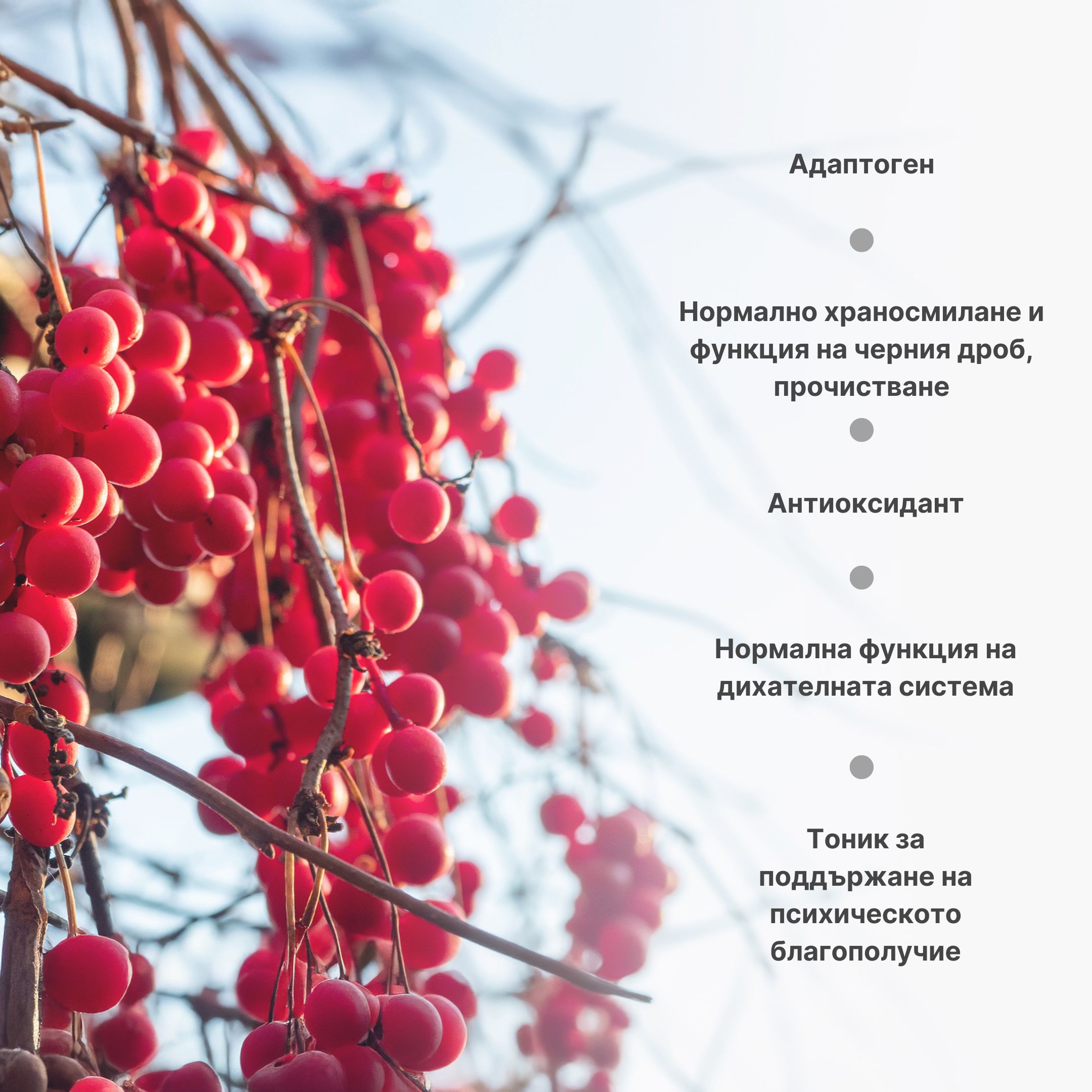 (Bulharština)_1