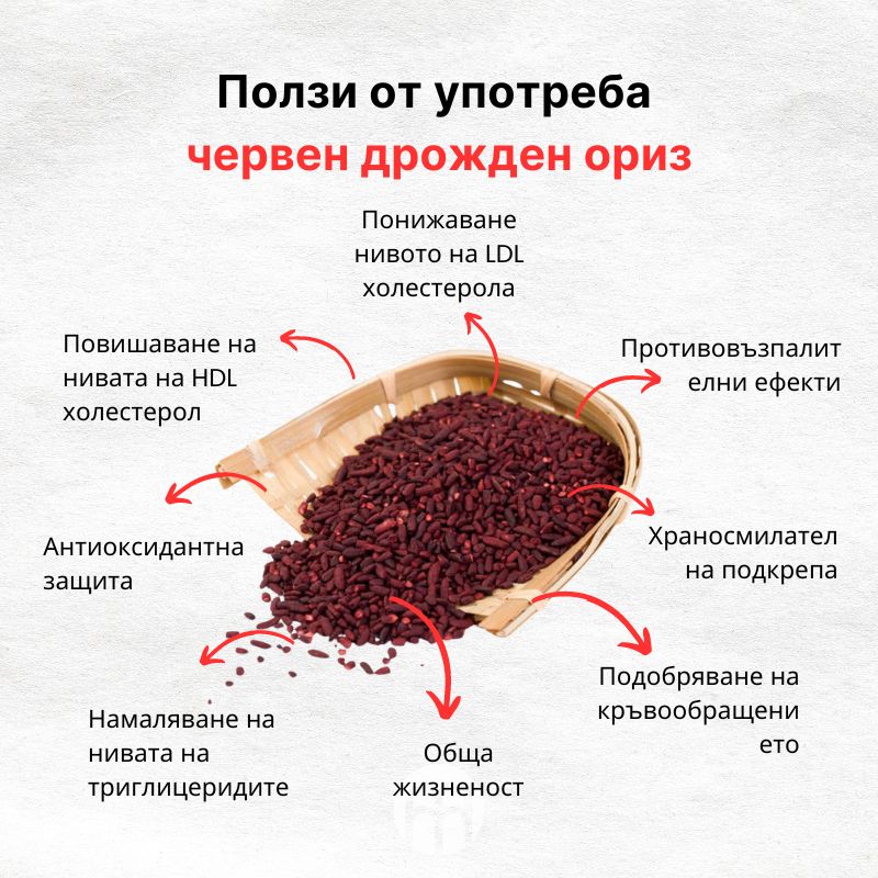 (Bulharština)