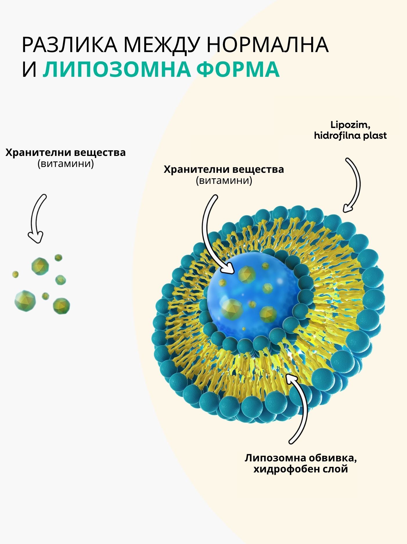 immunity kids produkt liposom2