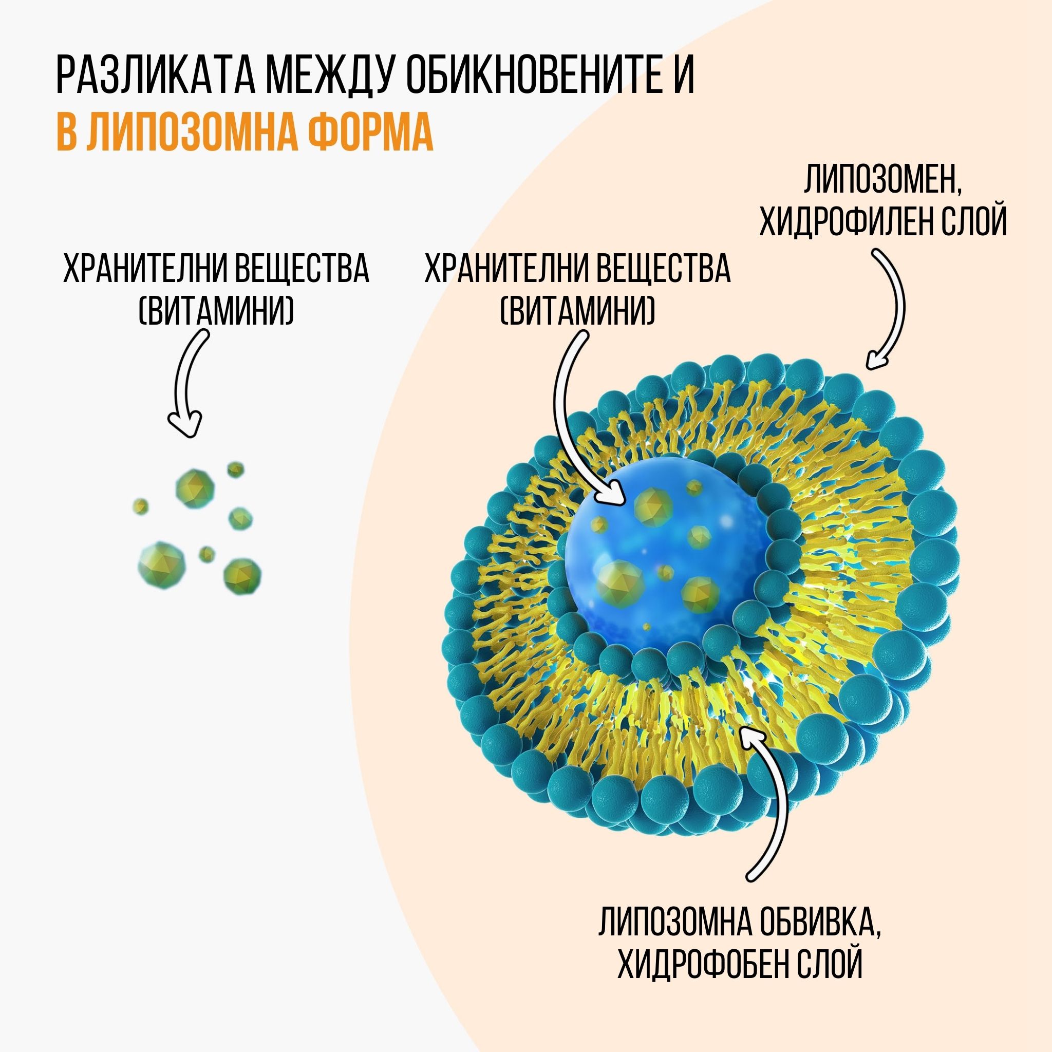 immunity kids produkt liposom2