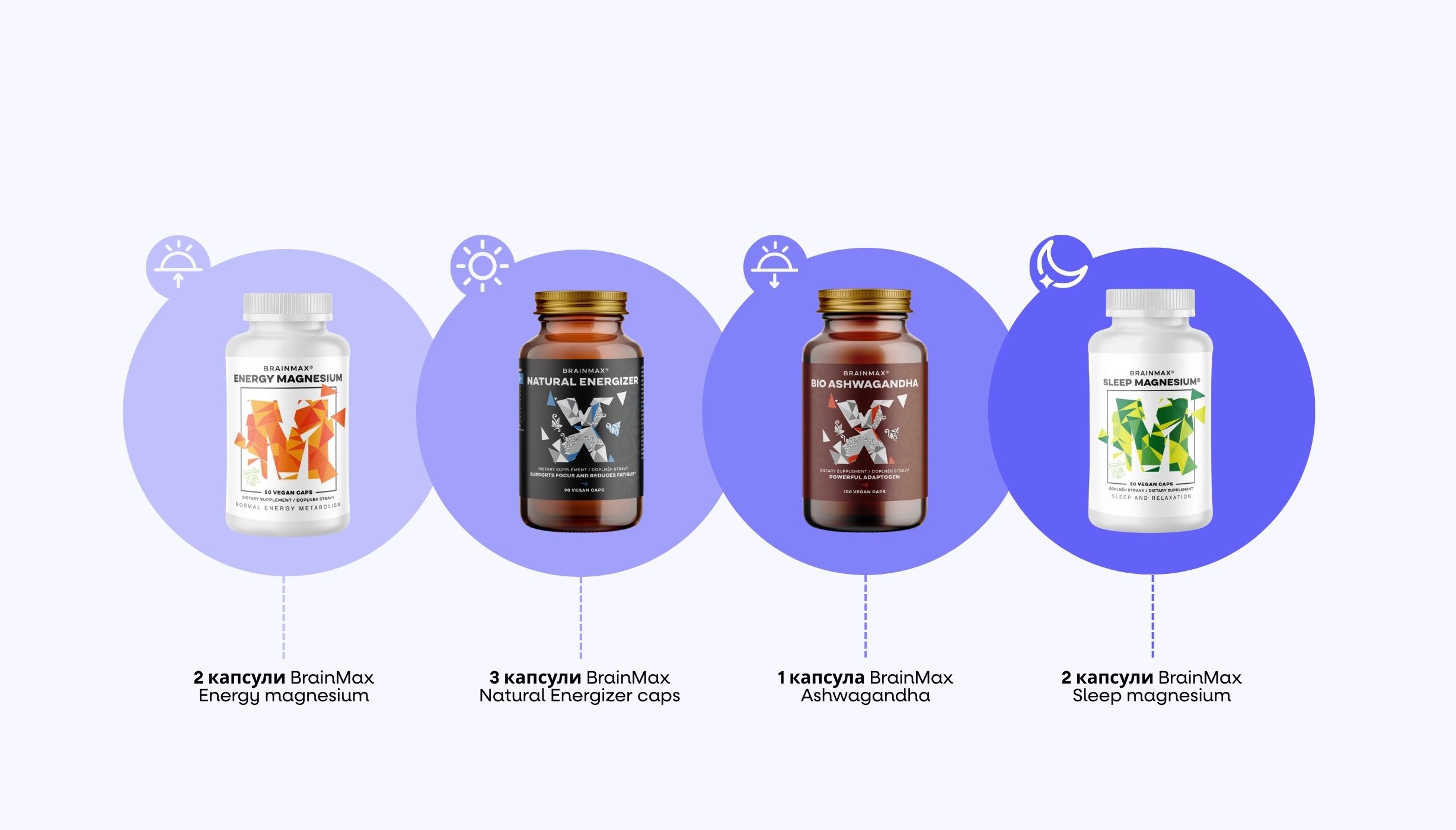 времева линия.jpg