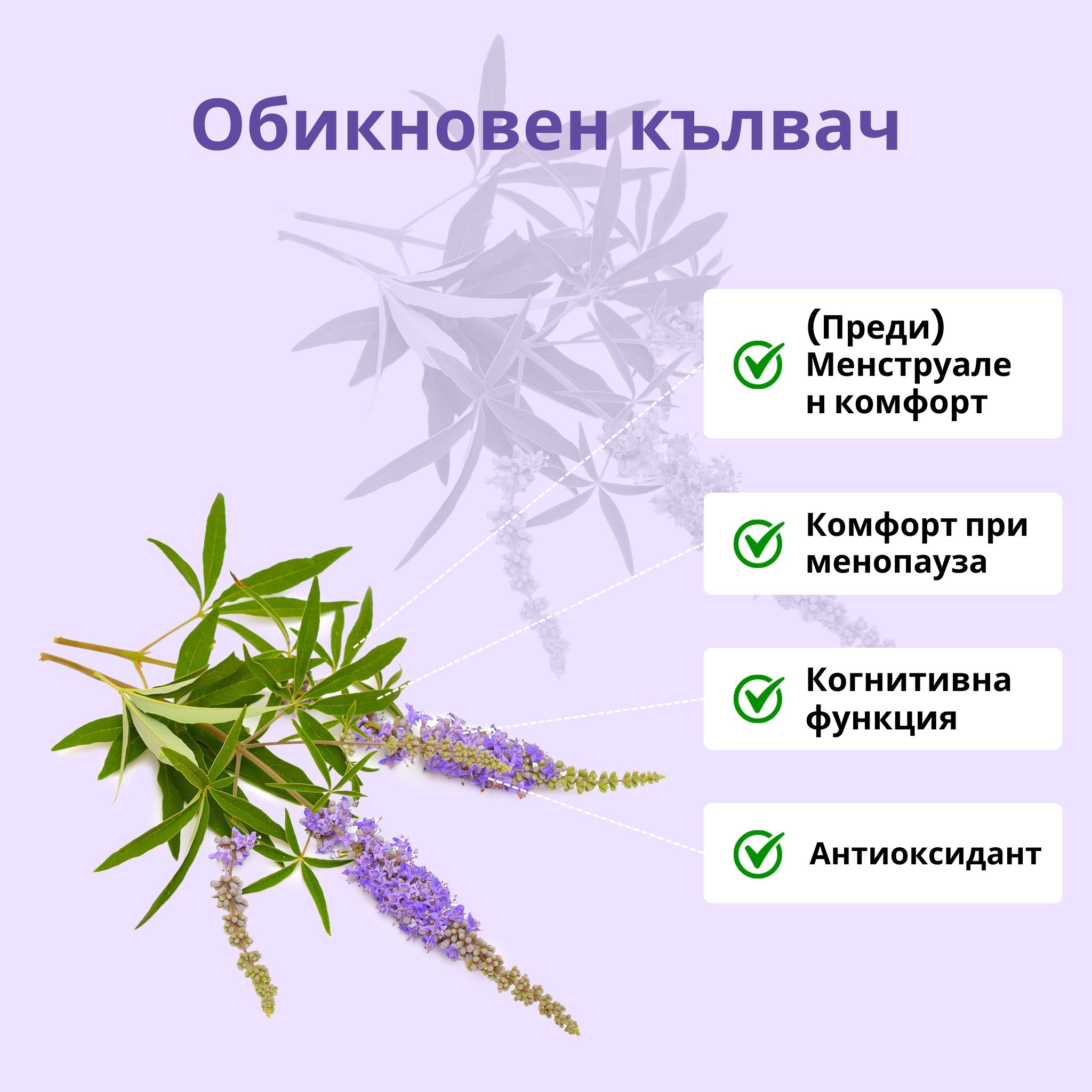 (Bulharština) (3)