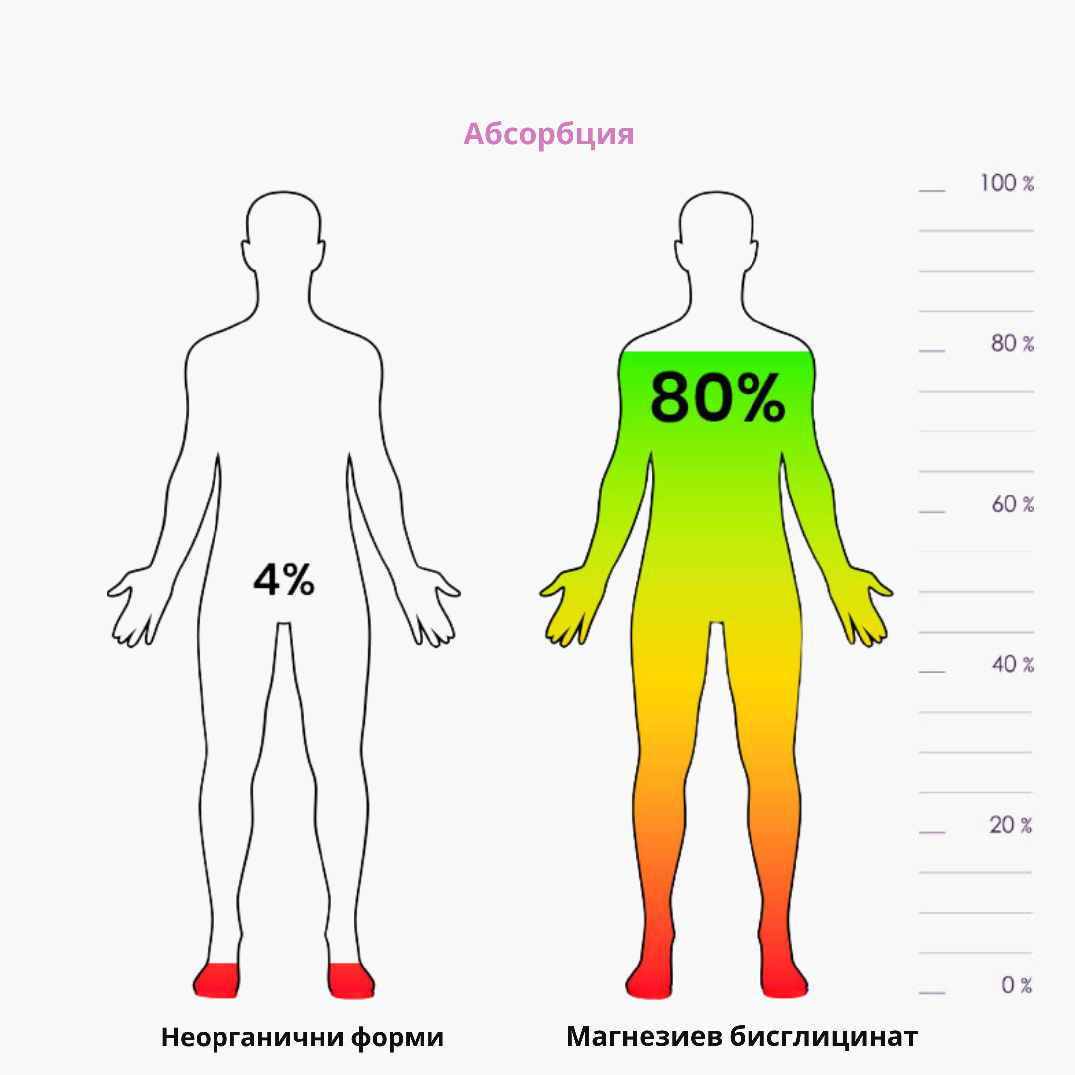 vstrebatelnost horciku