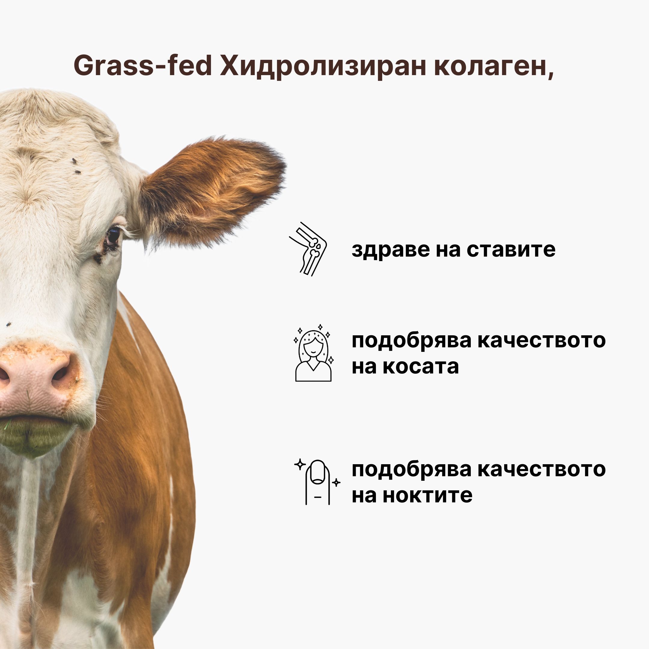 (Bulharština)