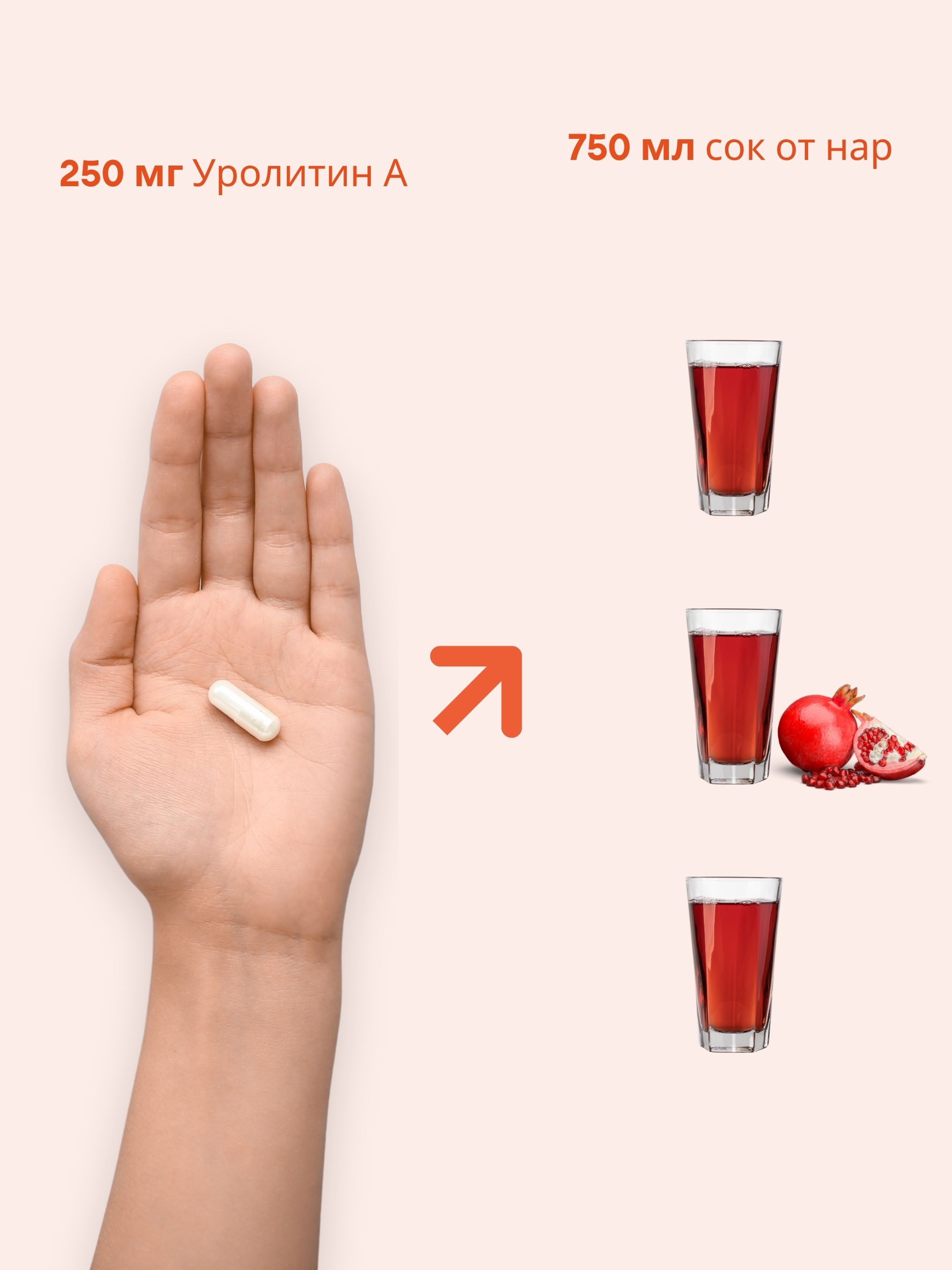 (Bulharština)