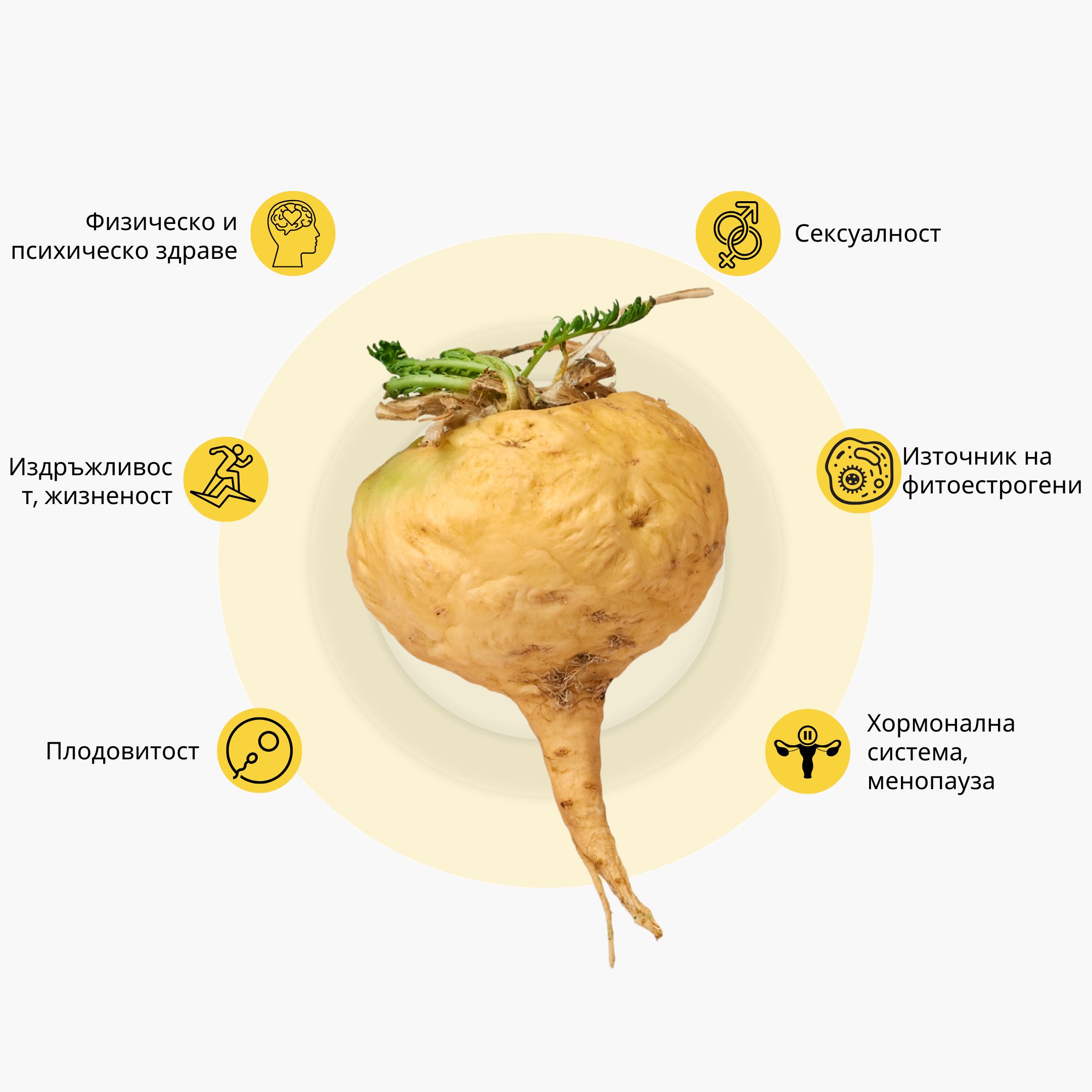 maca infografika