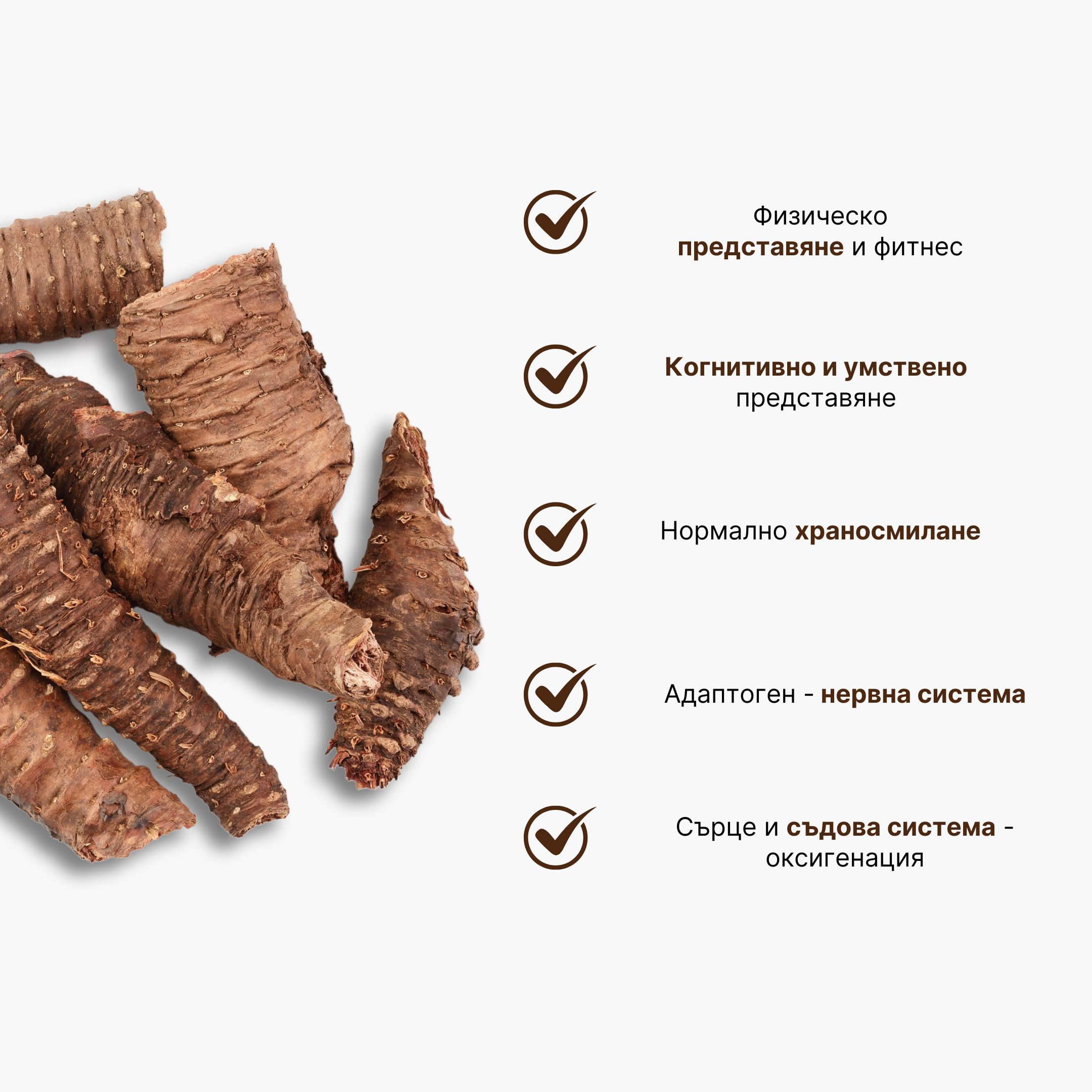 rhodiola rosea infografika