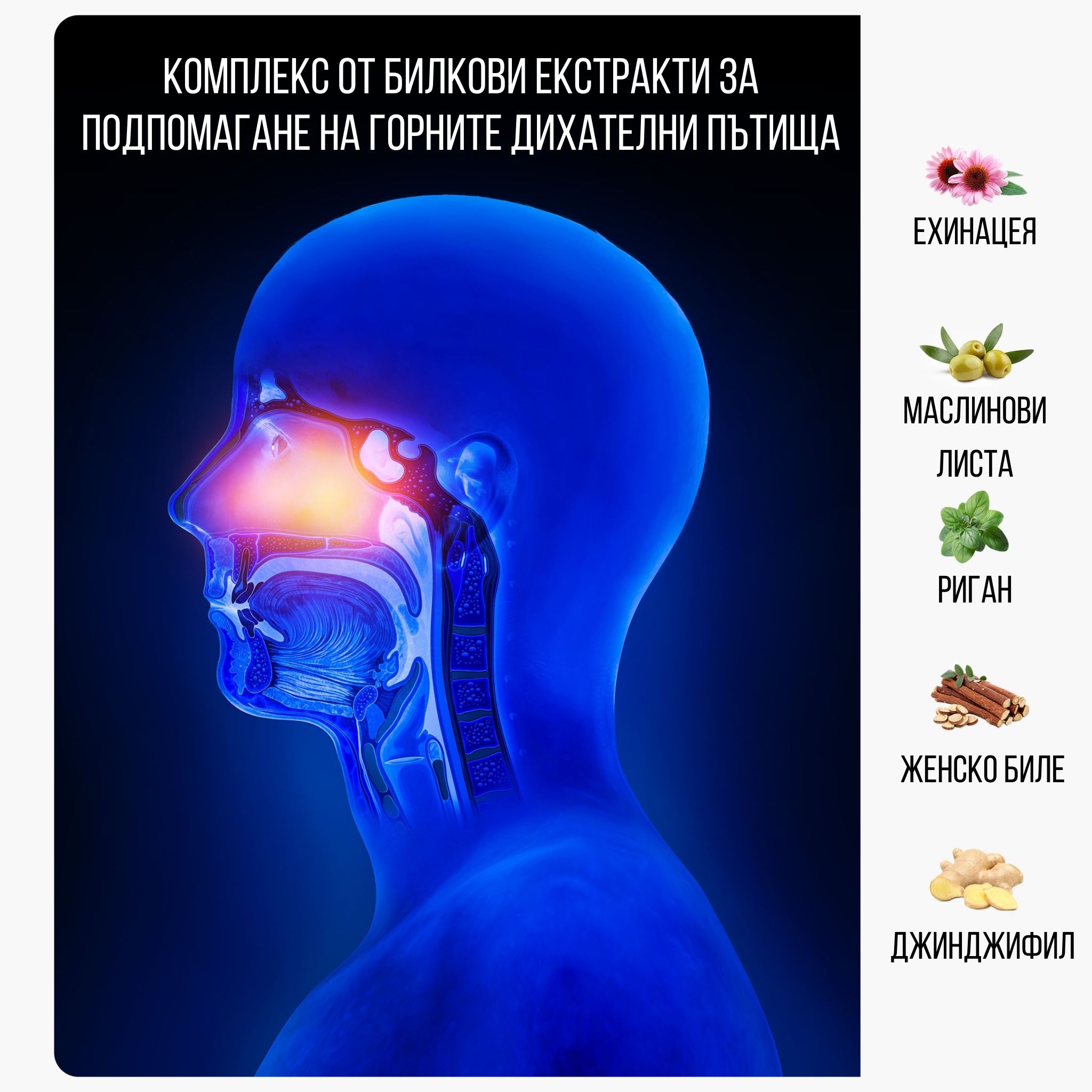 (Bulharština) bylinne extrakty