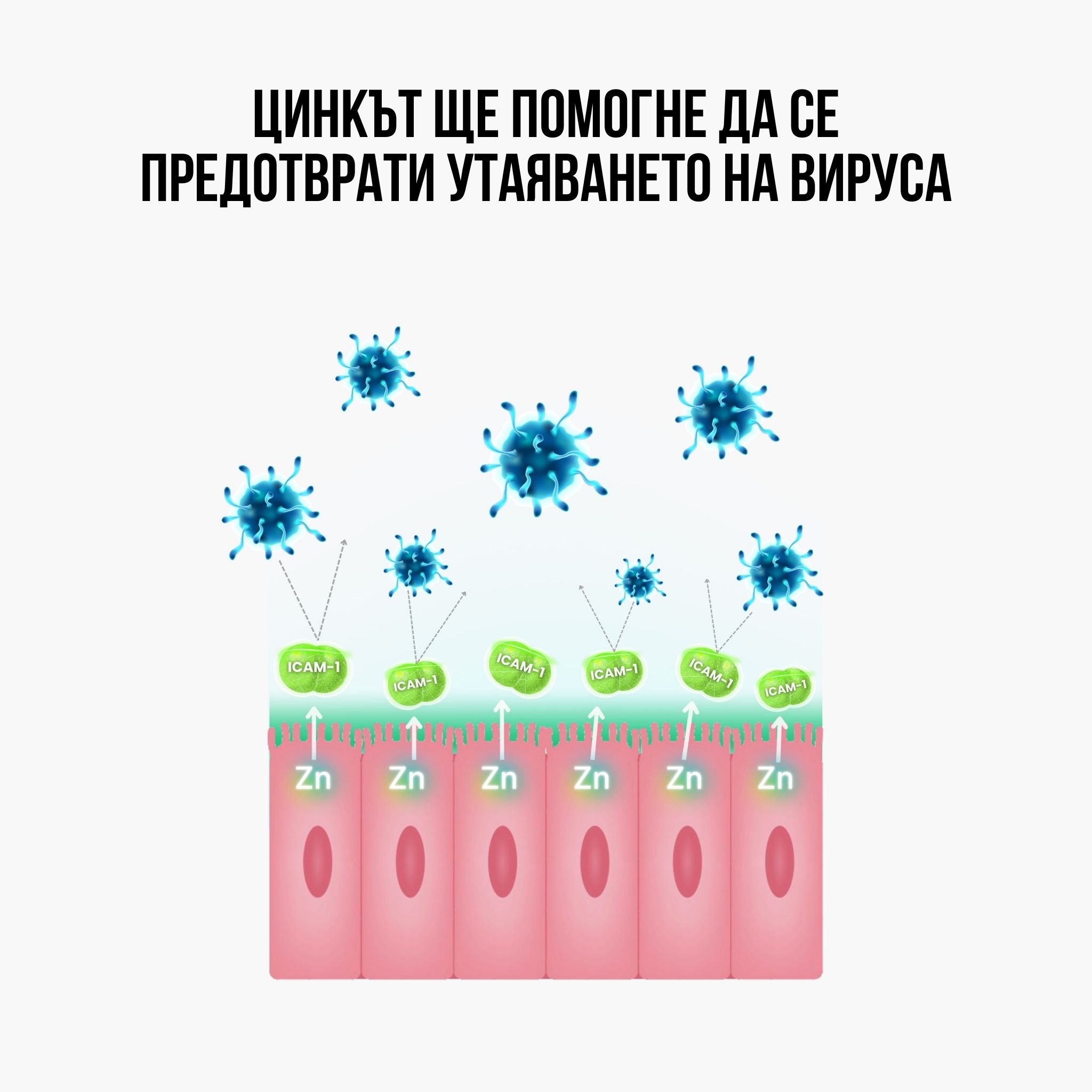 (Bulharština) zinek usazeni viru