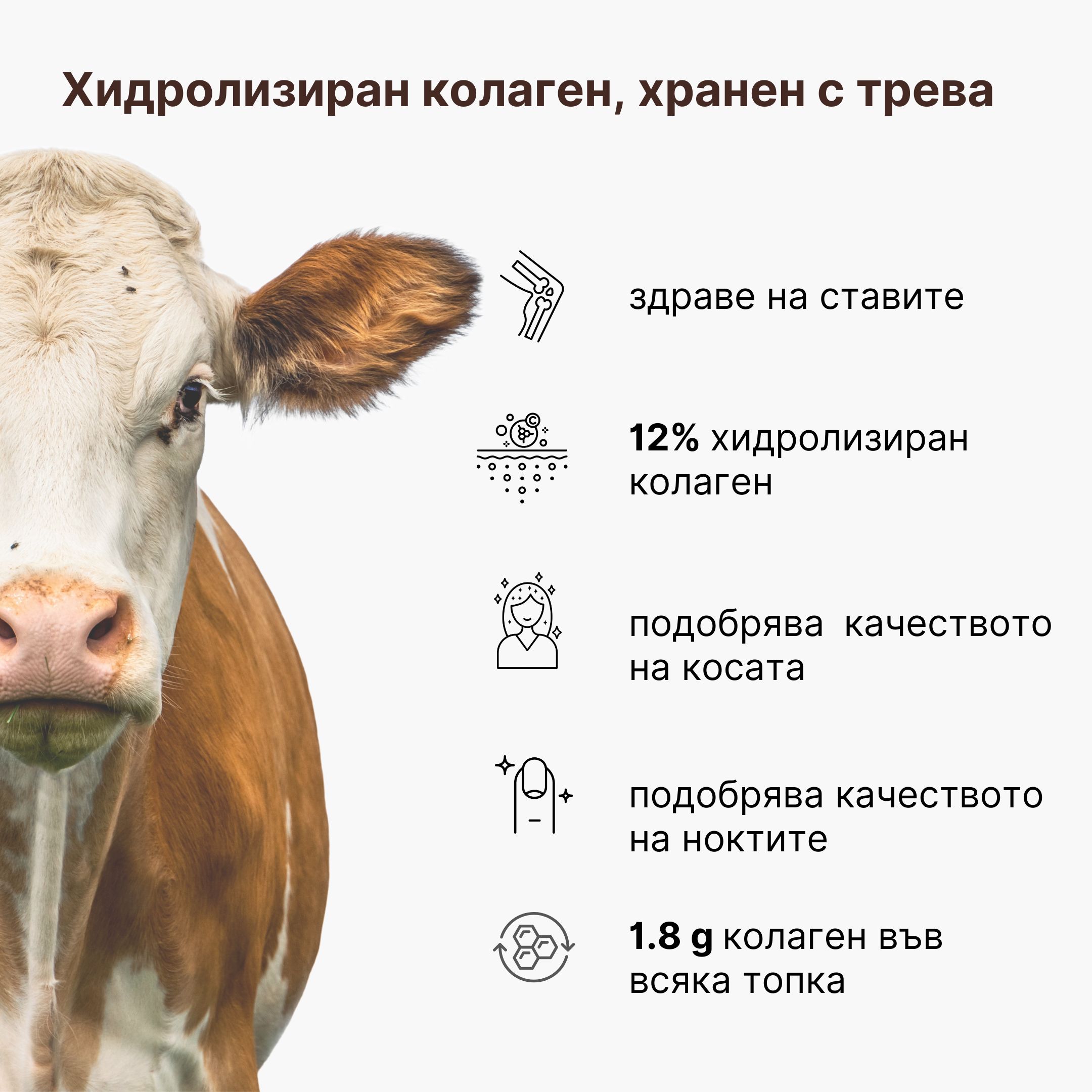 (Bulharština)_2