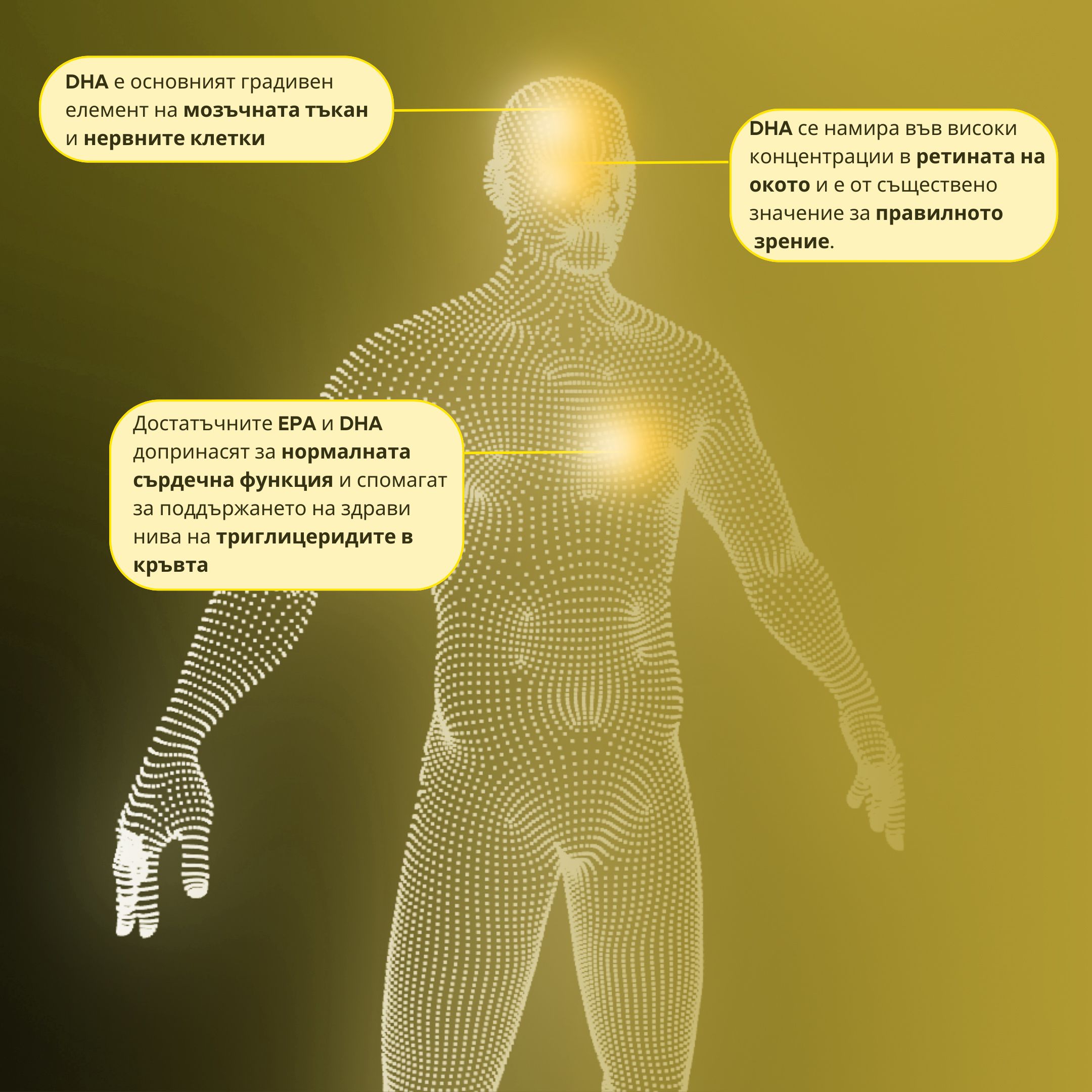 (Bulharština) (Rumunština) DO…