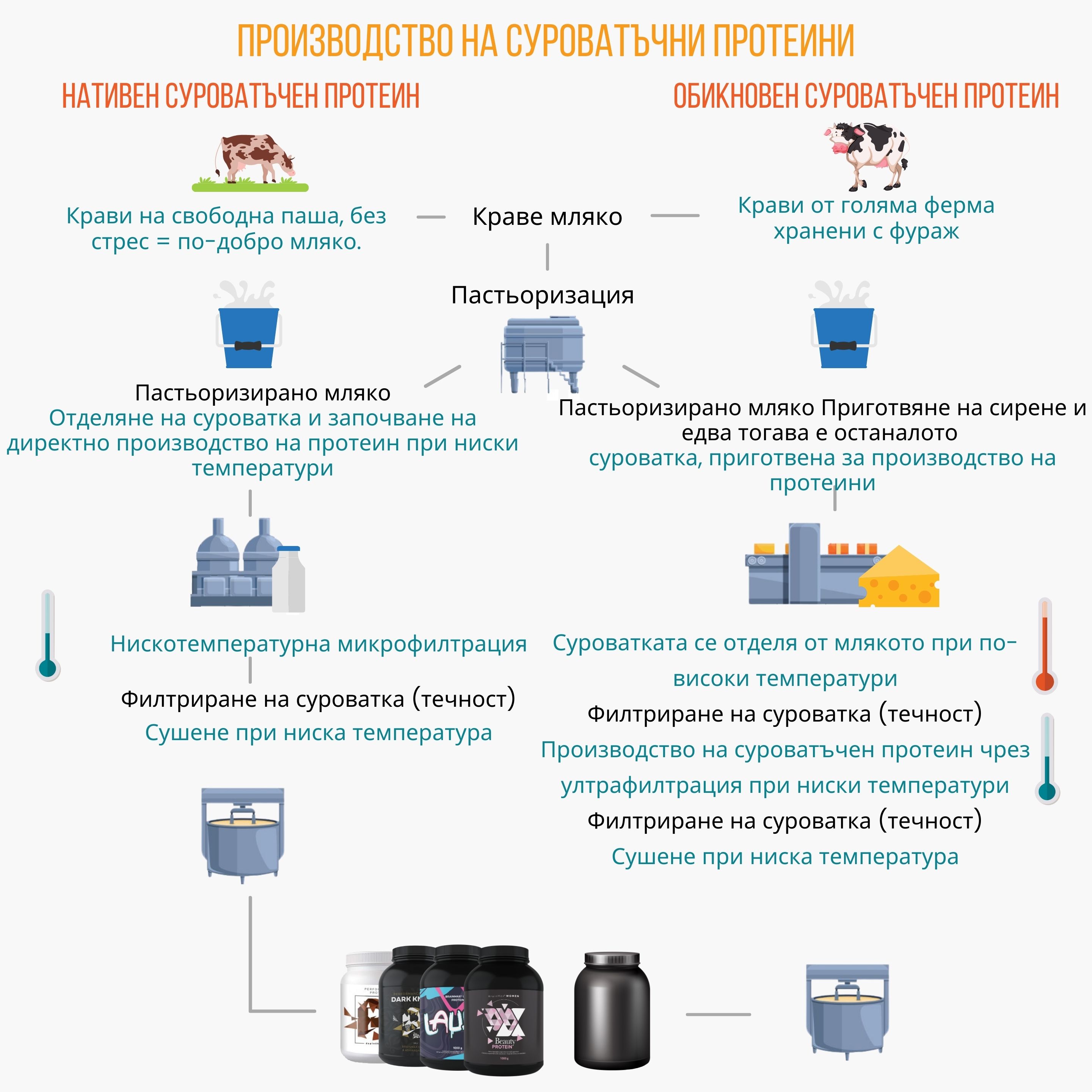 Vyroba proteinu