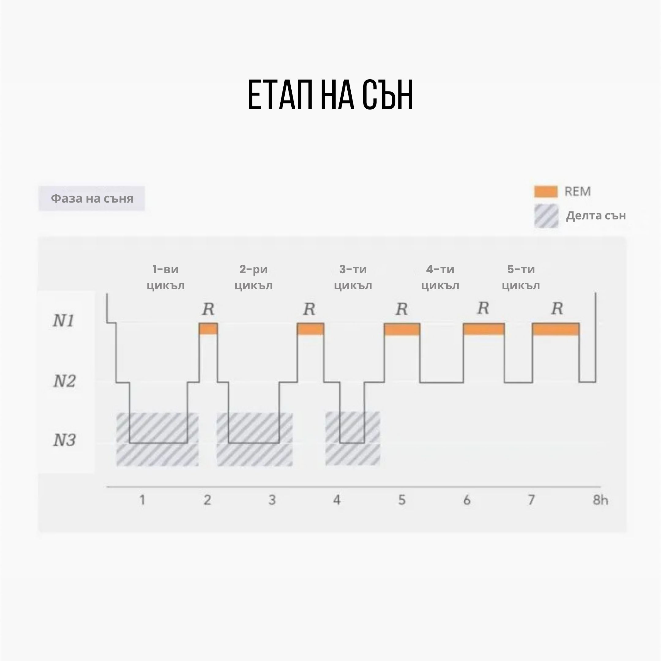(Bulharčina) (Angličtina) Faze spánku