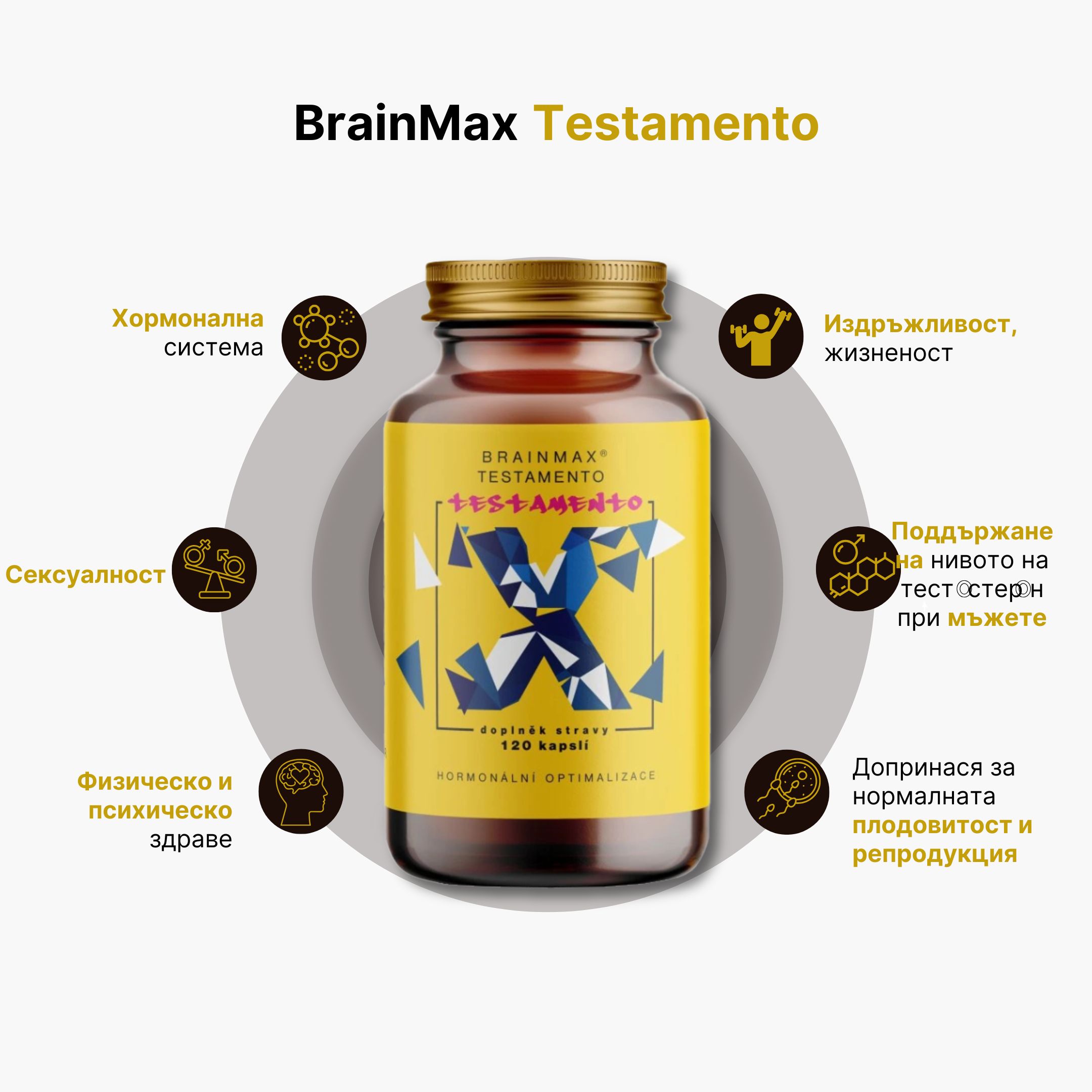 infografika testameno