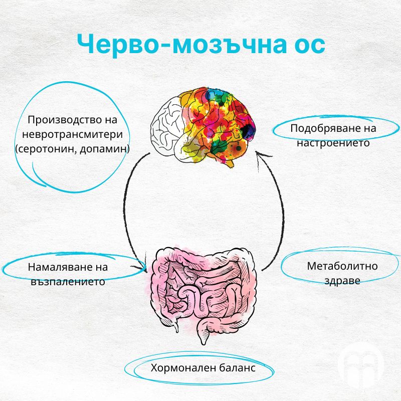 (Bulharština)_1